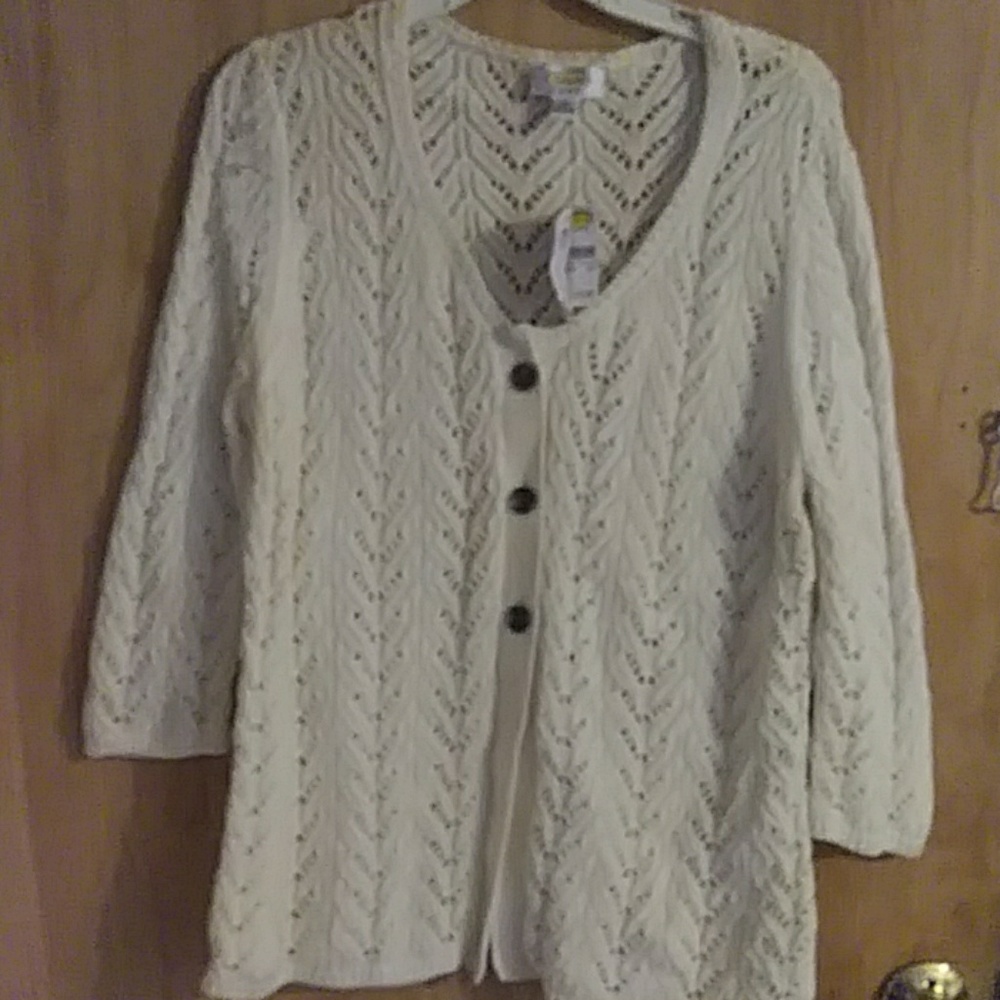Talbots Mesh Sweater 1X